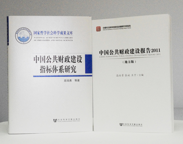 高培勇、張斌、王寧：中國公共財(cái)...